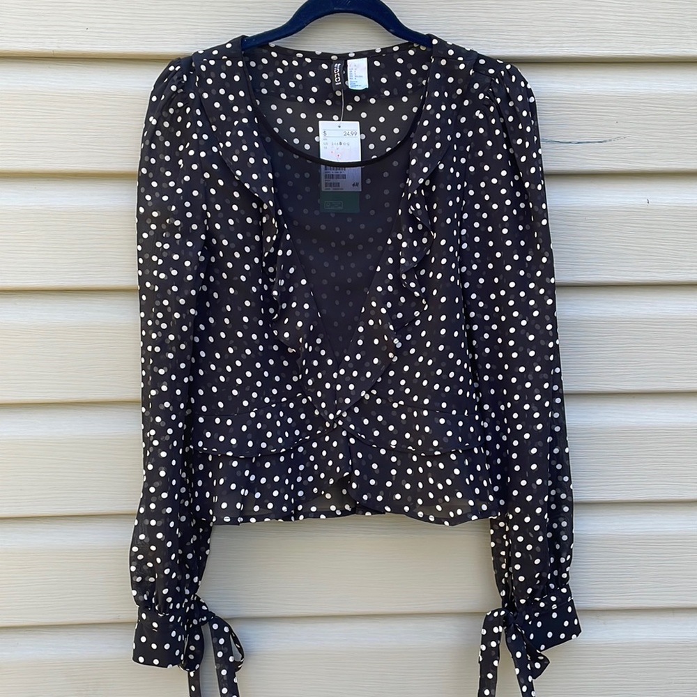 H&M Semi-Sheer Polka Dot Print Blouse